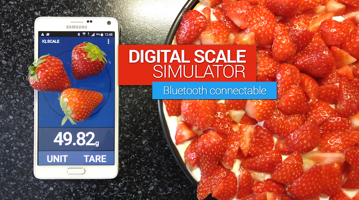 Digital Scale Simulator