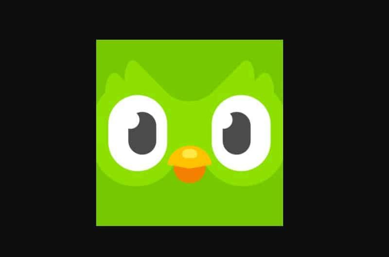 Najlepšia aplikácia na učenie španielčiny: Duolingo