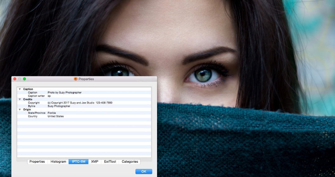 XnView